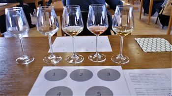 Odličen uspeh vinarjev iz vinorodnega podokoliša Haloze na Vino Slovenija GR-2022