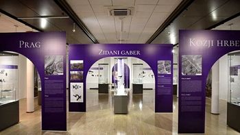 V Šentjerneju priznanje za arheologa dr. Boruta Križa