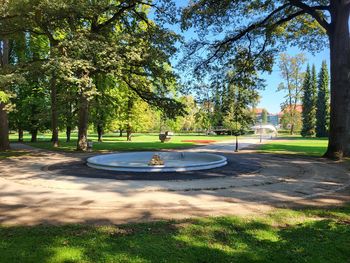 Obnova znamenite fontane bo zaključena sredi septembra