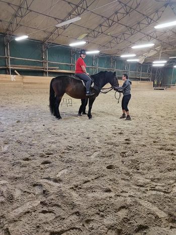 V Češči vasi o skrbi za konja in psa