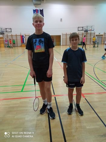 Posamično področno prvenstvo v badmintonu 
