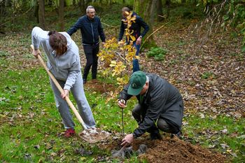 Ob novi poti v Portovalu dodatna drevesa