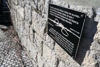 Valentinov rez mestne trte