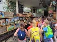 Kandidiranje na razpisu za učni čebelnjak 