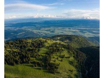 Sprehajalna rekreacijska pot pod krošnjami