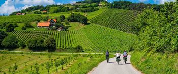 Poženite se s kolesom po razgibani pokrajini doline reke Save