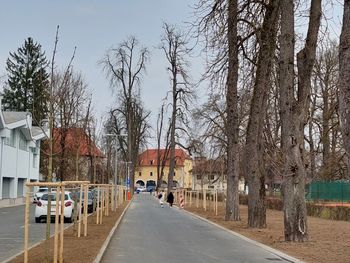 Oživili smo drevored v parku Kodeljevo