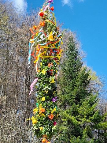 Butara velikanka z Ravnika