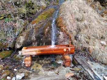 Korito pri izviru "Moške vode" v Kokri