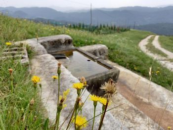 Vodni izviri samoumevni? Vodni izviri samoumevni?