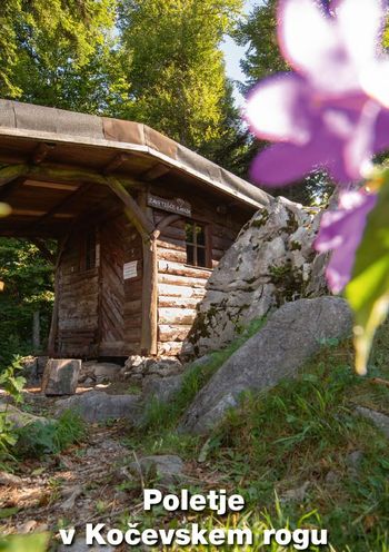 Poletje v Kočevskem rogu Poletje v Kočevskem rogu