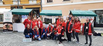 Cvetoča izvedba pomladne Zelemenjave 2022