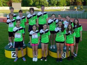 Področno prvenstvo v atletiki za osnovne šole