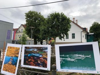 Vabilo: Razstava na temo vode Vabilo: Razstava na temo vode