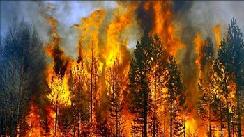 Velika požarna ogroženost naravnega okolja