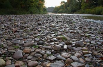 Prepoved ribolova v Zgornjesavinjskem ribiškem okolišu in omejitev ostalih aktiv