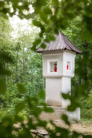 Obišči in doživi Polzelo z okolico