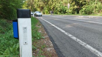 Modri odsevnik za srne in jelene