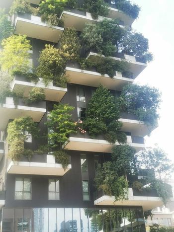 Med zmagovalci evropskega Bauhausa tudi projekt Občine Ravne na Koroškem