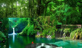 Razstava Narava se celi: Sara Bezovšek