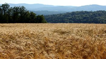 Zbiranje vlog zaradi posledic suše v letu 2022