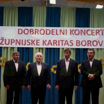 Dobrodelni koncert Župnijske Karitas Borovnica