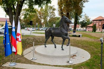 Kip konja Borisa Kalina na Starem trgu