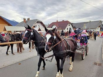 Praznični dan na Blejski Dobravi