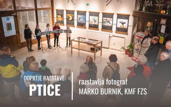 RAZSTAVA: odprtje razstave PTICE – Marko Burnik