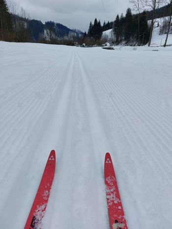 Urejene tekaške proge v Žireh