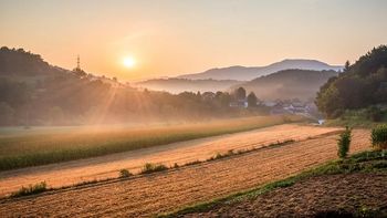 Razpisujemo finančna sredstva za ohranjanje in razvoj kmetijstva