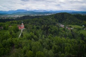 Nadaljujemo sečnjo oslabljenih in bolnih dreves v Krajinskem parku Tivoli, Rožnik in Šišenski hrib