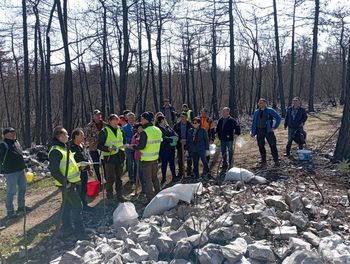Sajenje medovitih rastlin na Krasu