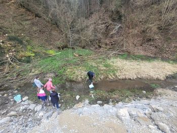 Ureditev mokrišča Mlaka na Izlakah