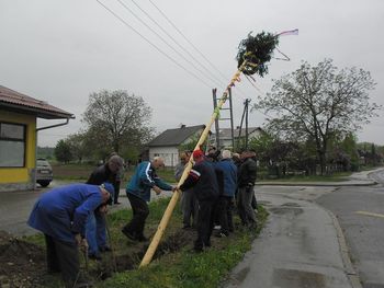 Postavitev majskega drevesa DU Starše