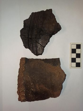 Bogate najdbe tudi v obdobju pozne bronaste dobe, v obdobju kulture žarnih grobišč