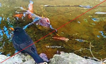 Odpoved čistilne akcije