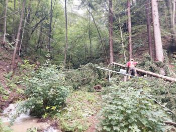 Močno neurje povzročilo veliko škode 