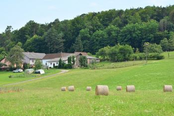 Na Goričkem v letu 2023 gnezdilo 11 parov bele štorklje