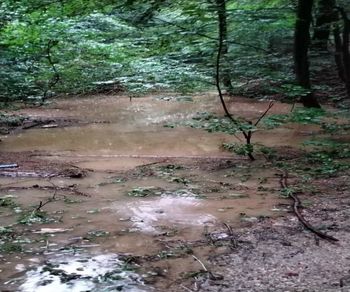 Poziv k oddaji obrazca za prijavo škode na zemljiščih, stavbah zaradi posledic neurja z dežjem, vetrom, zemeljskimi plazovi in poplavami med 17. in 25. julijem 2023