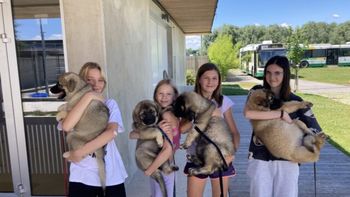 Zmaji v Zavetišču - utrip tedenskih dogodivščin