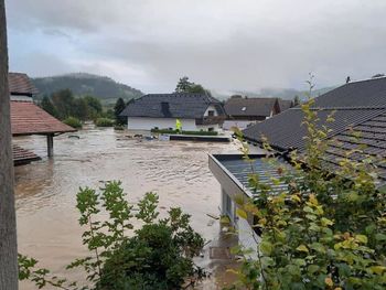 OCENJEVANJE ŠKODE V GOSPODARSTVU OCENJEVANJE ŠKODE V GOSPODARSTVU