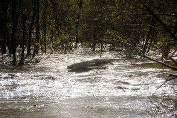 PRIČETEK OCENJEVANJA ŠKODE NA STVAREH ZARADI POSLEDIC MOČNEGA NEURJA OD 4. AVGUSTA DALJE PRIČETEK OCENJEVANJA ŠKODE NA STVAREH ZARADI POSLEDIC MOČNEGA NEURJA OD 4. AVGUSTA DALJE