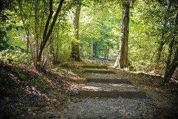 Nova podoba otoka športa na Tivolskem vrhu Nova podoba otoka športa na Tivolskem vrhu