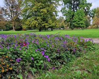 Mestni park je spet odprt - Sanacija še ni končana, materialna škoda je visoka 