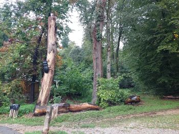 Obnovili smo info točko Rogač Obnovili smo info točko Rogač