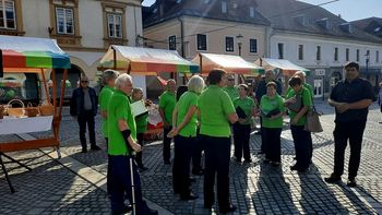 Umetnine upokojencev navdihnili mostovi in reke