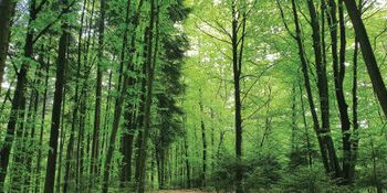 Povabilo k pisanju prispevkov za Krajevne novice