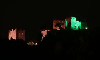 Ob svetovnem dnevu cerebralne paralize bo Stari grad Celje zasijal zeleno 