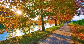 Jesenska akcija čiščenja okolja